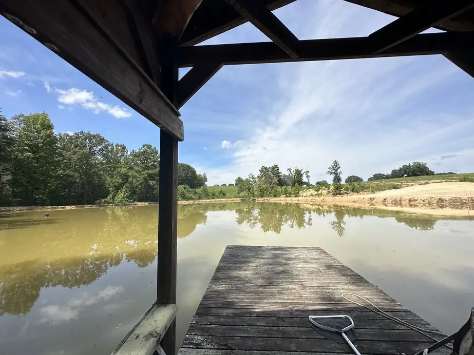 The spring-fed pond seen from under the covered dock