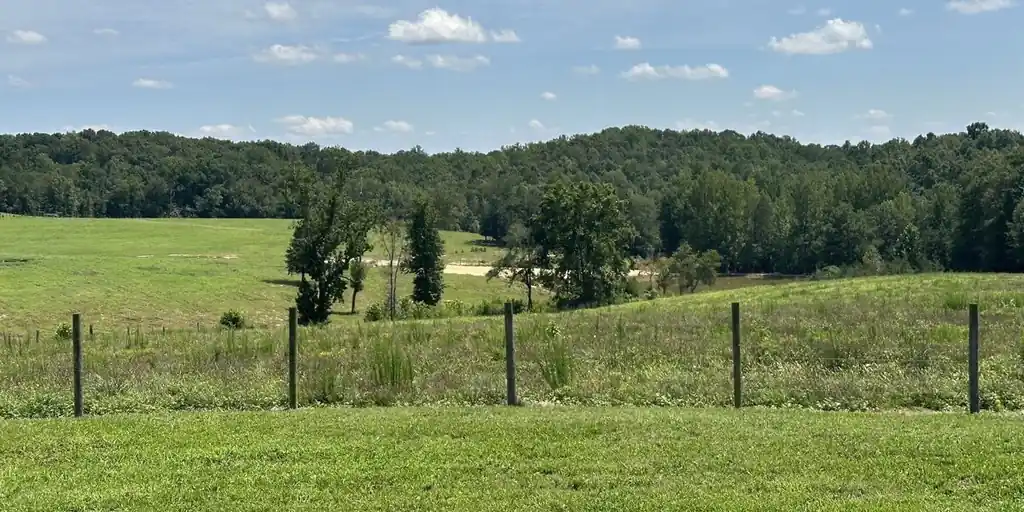 Fenced pasture and tree line along the drive into the park